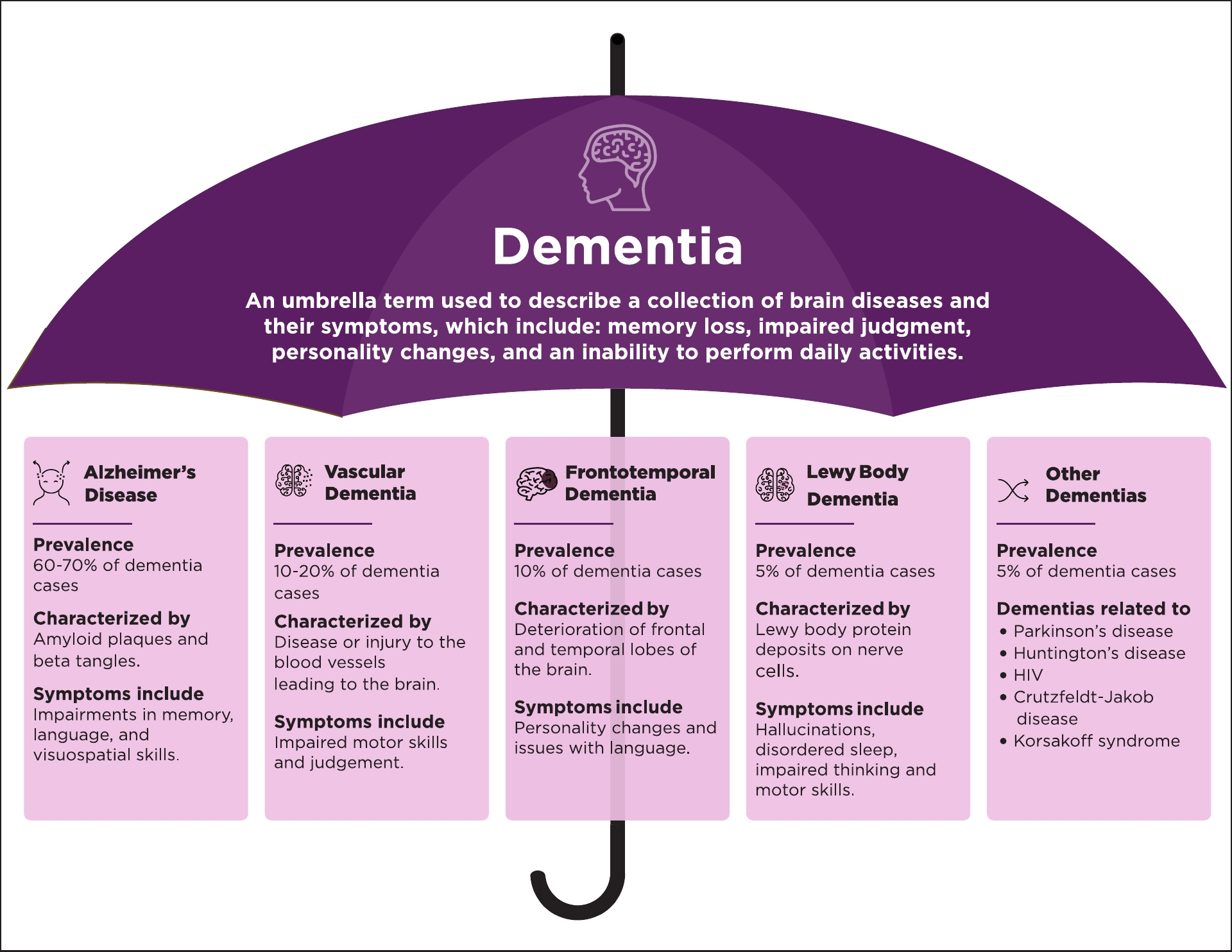 an infographic breaking down the different kinds of dementia